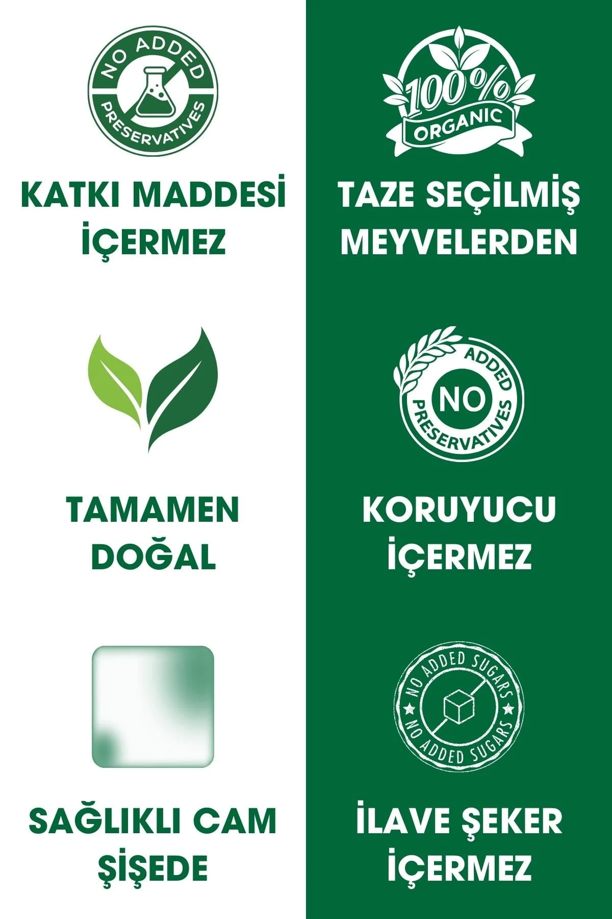 Flavz %100 Kayısı Suyu 250 ml