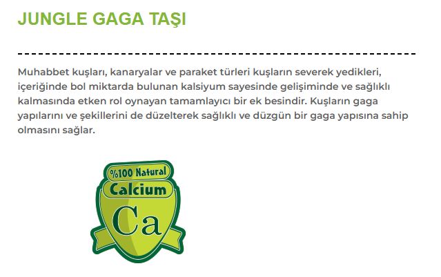 Jungle Gaga Taşı